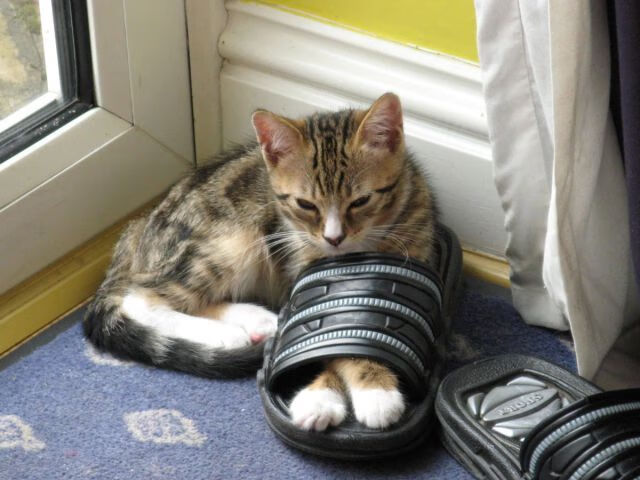 当东方智慧遇见费城之夜，哈登49分难阻浙江末节降维打击