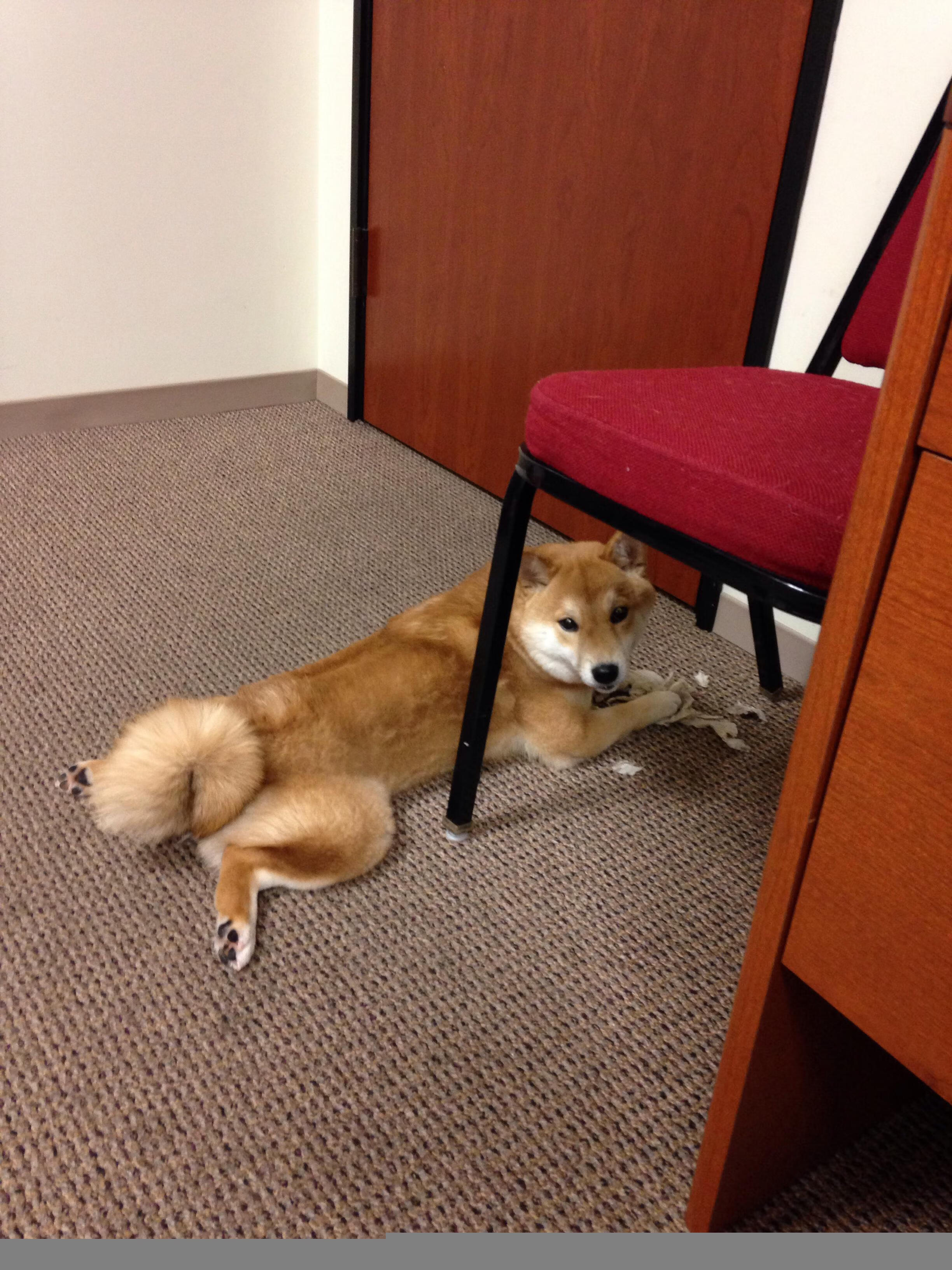 绝境锻造英雄，从土耳其的足球战场到NBA的抢七时刻