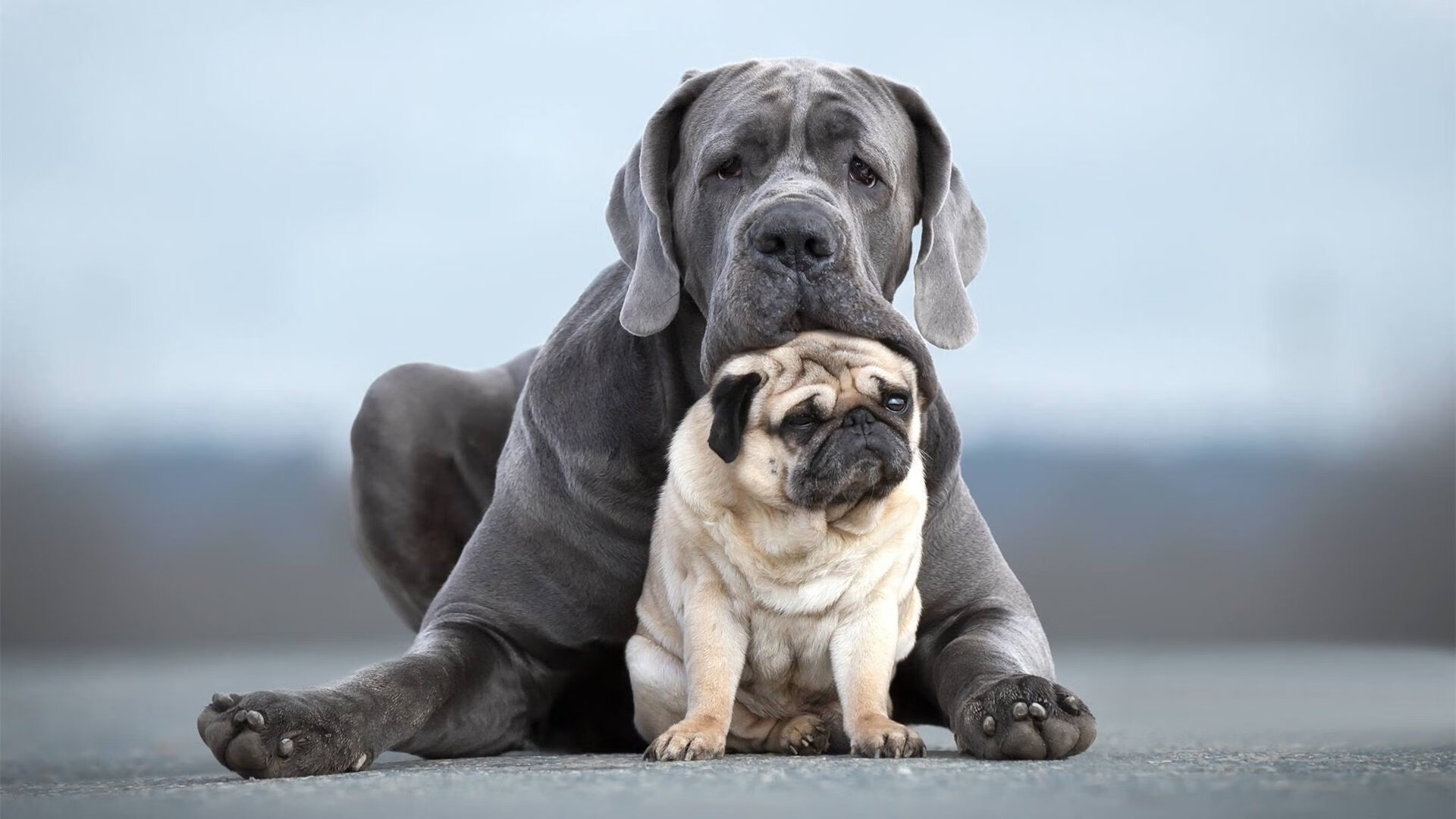 钢铁洪流与钱塘江潮的碰撞，独行侠撕裂浙江，利拉德在何处投射出绝杀？