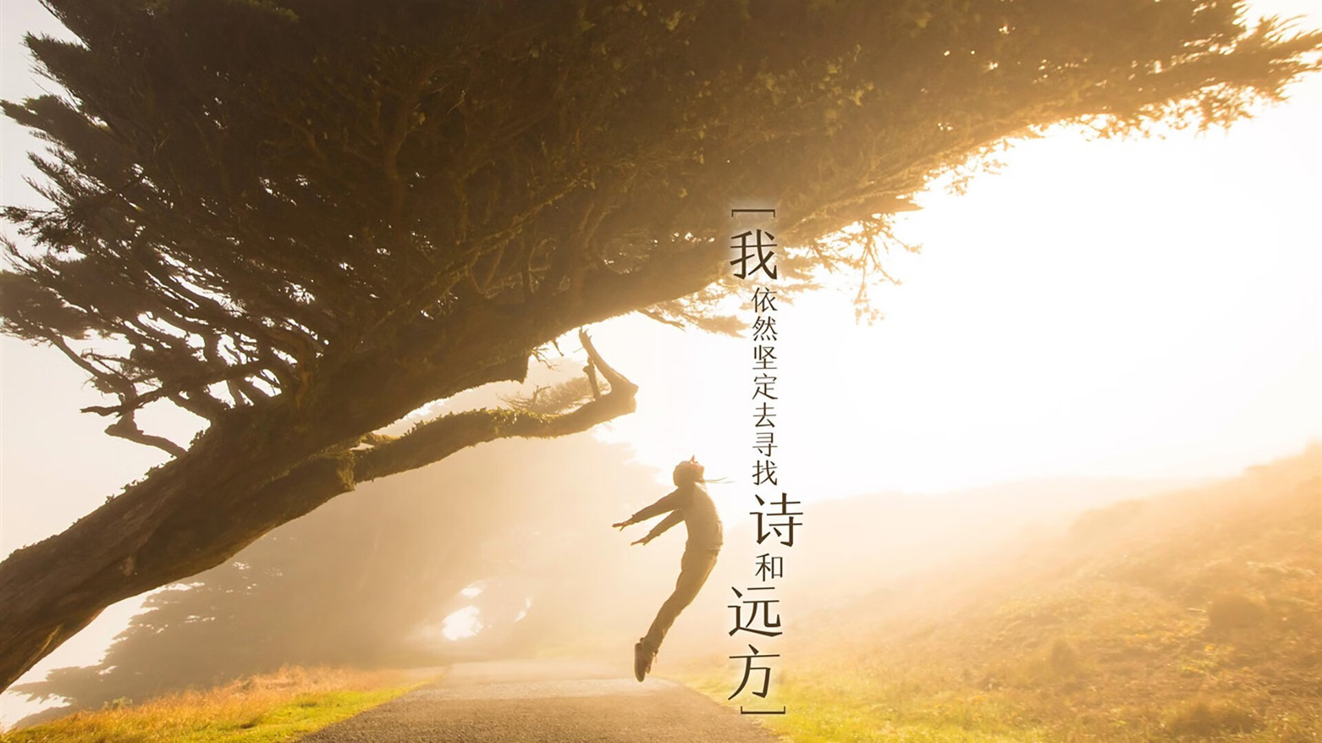 时空交错的足球启示，当国王遇见平民，足球的永恒真相