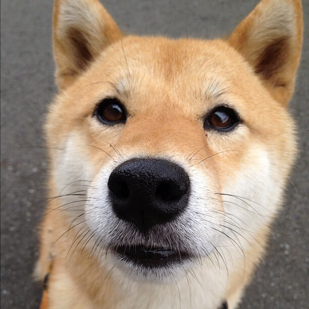 跨界对决,当东决焦点战的战术智慧照亮哥斯达黎加的塞维利亚攻坚战