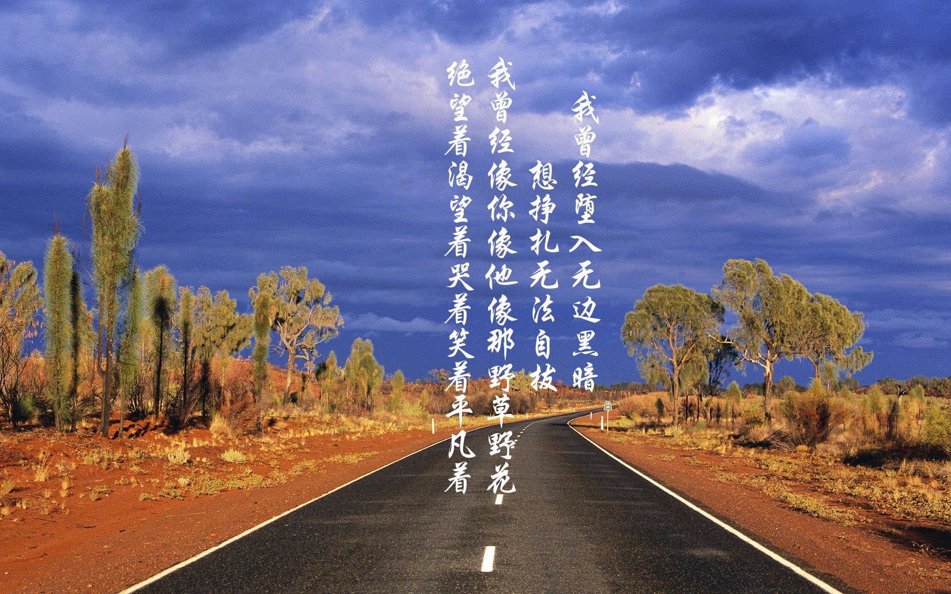 贝恩的战争,从丹佛的选择到世界杯的王座—一次被低估与自我证明的闭环叙事