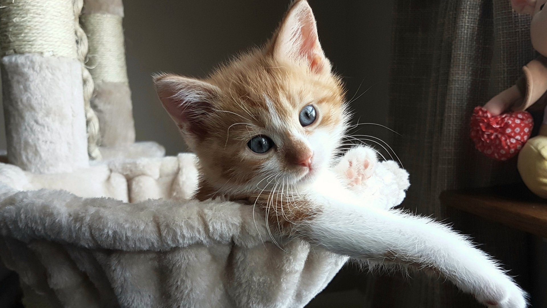 铁血活塞的防守枷锁与哈登的终极时刻