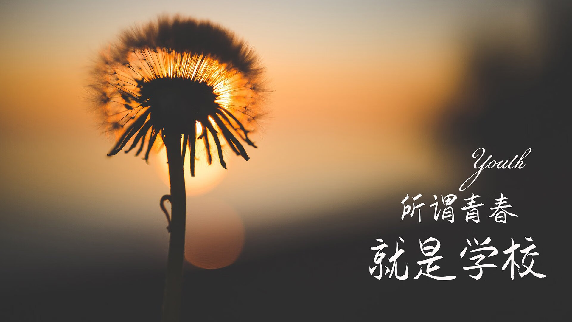 我为你构思了三个不同风格的标题，它们都围绕核心关键词展开，但侧重点各有不同