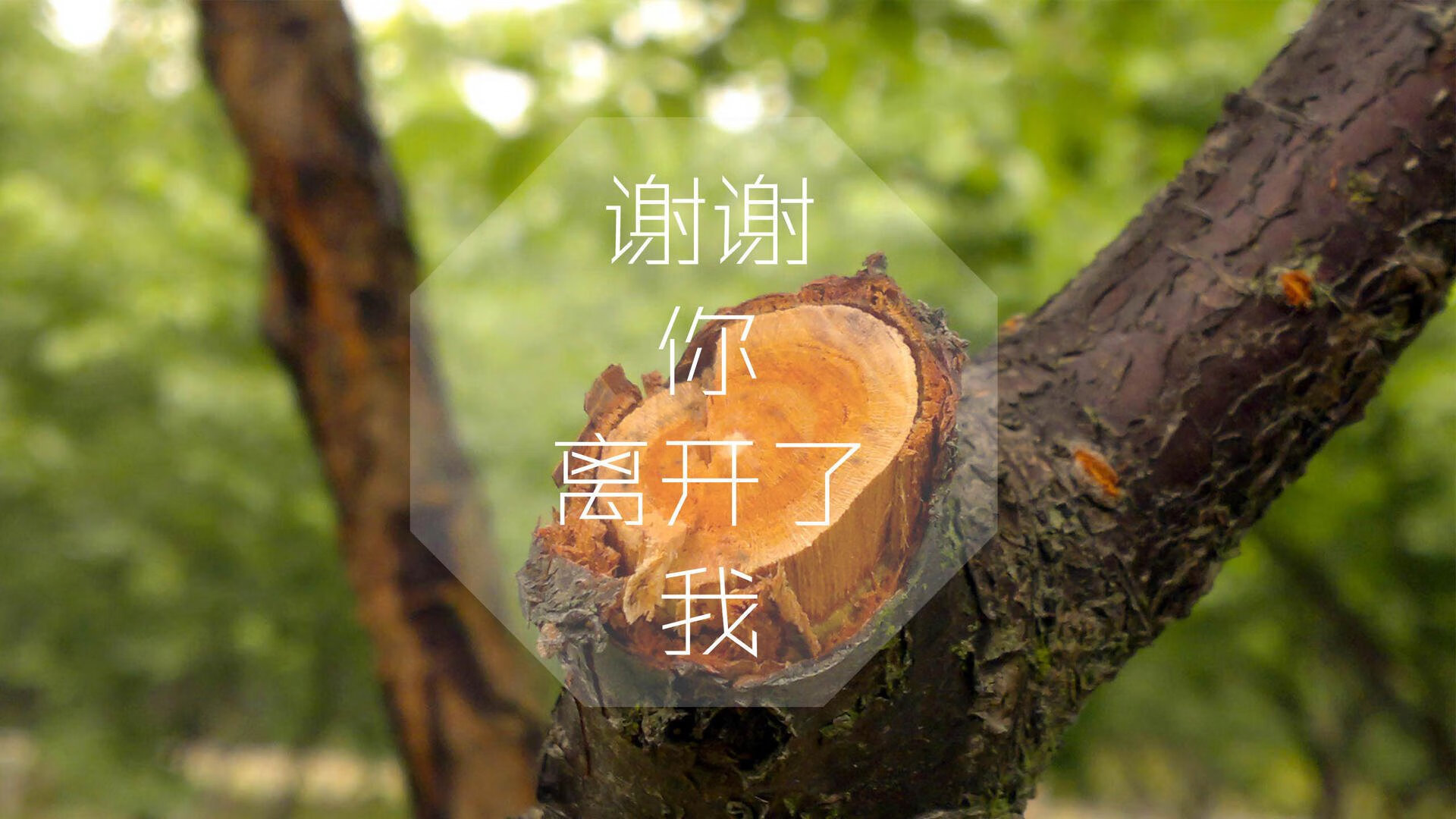 倒流的时光与唯一的光束，当瑞士在2026年用费利克斯的利刃，刺破罗马尼亚的镜像