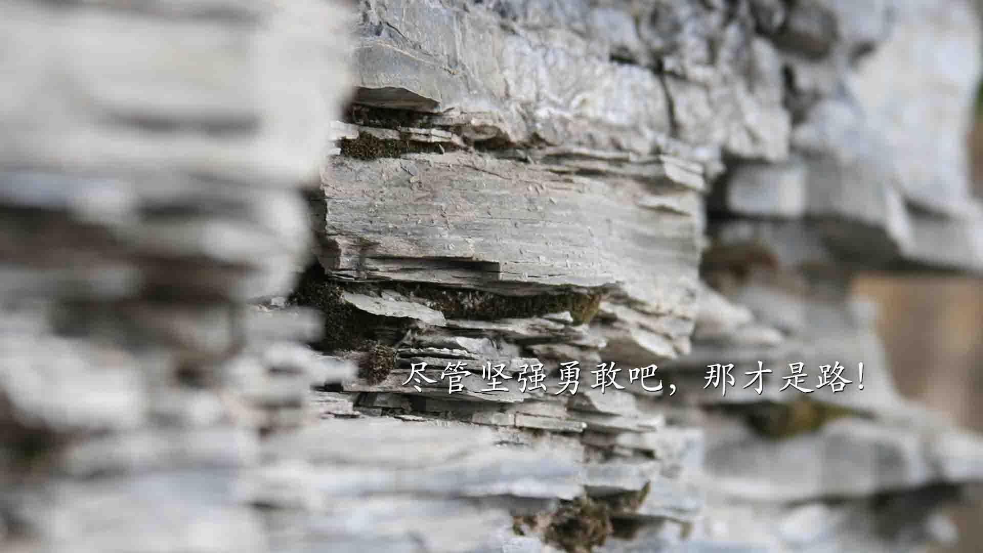 孤星之舞与袋鼠之围,齐耶赫的闪耀,难掩澳大利亚中场铁幕下的C组胜负手
