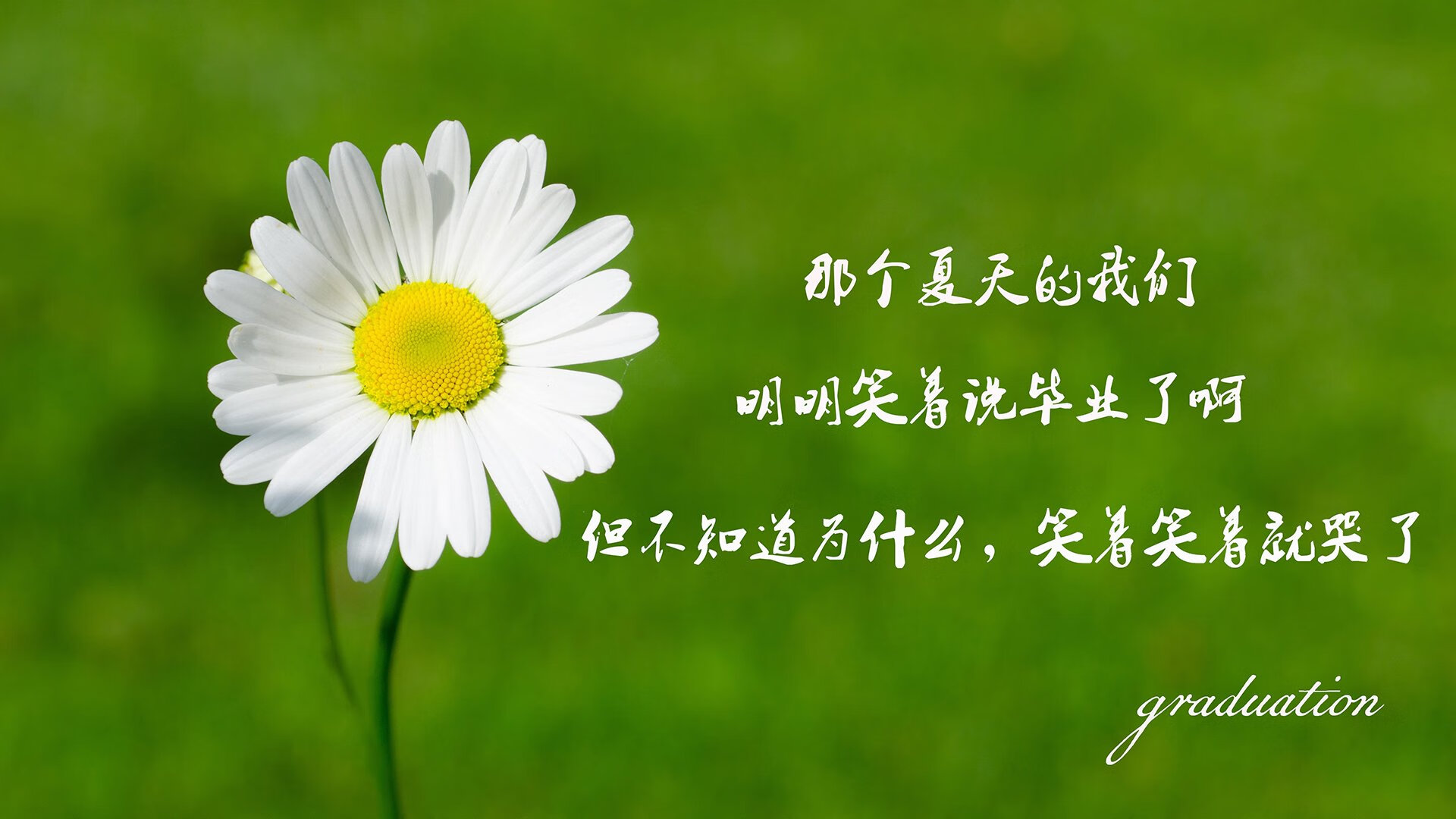 E组的唯一冷门，当黑马神话邂逅孤胆英雄，伊拉克风暴与费利克斯的封神之夜