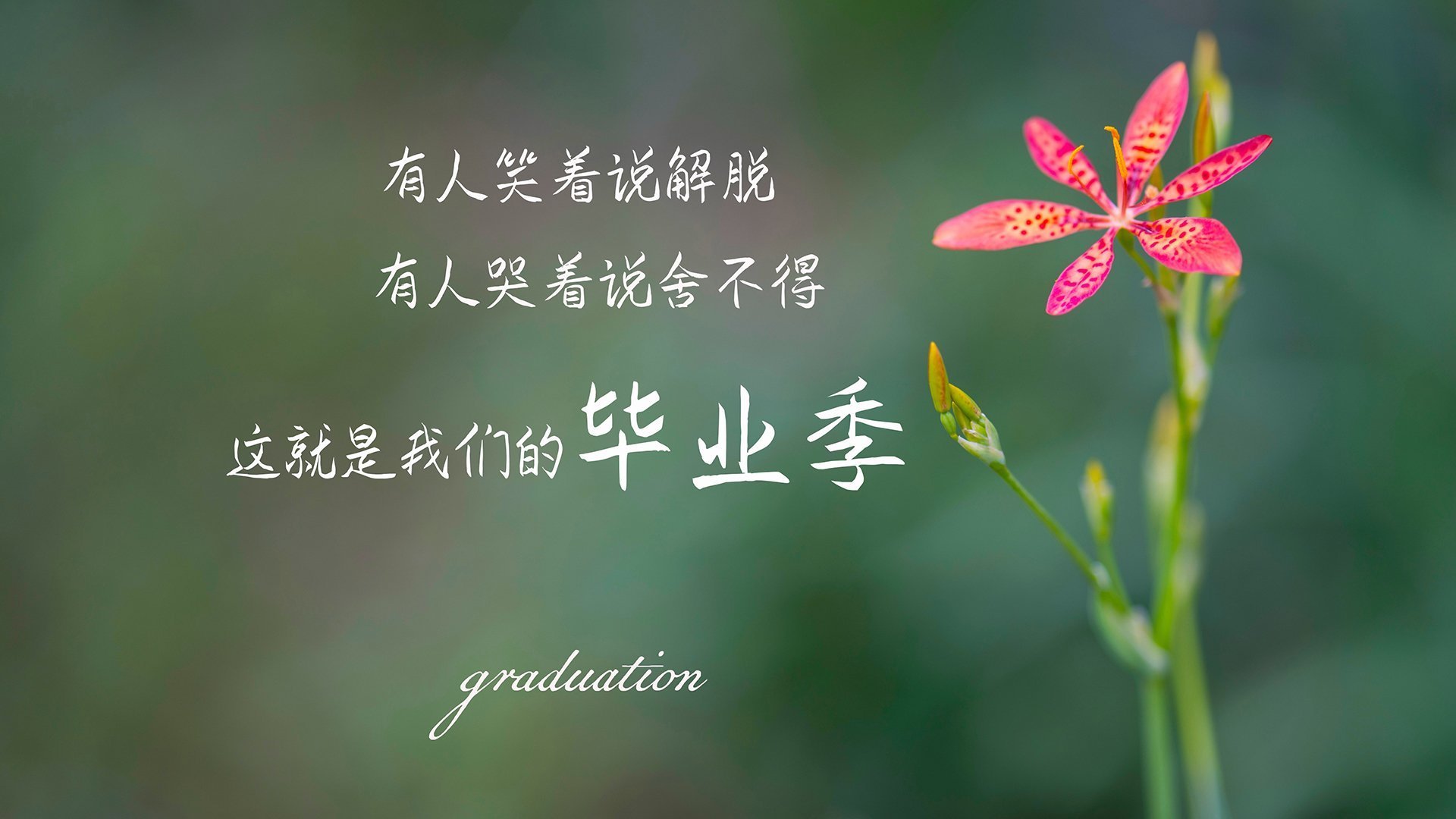 卢卡库独舞，乌拉圭奏响F组死亡宣言，一场名为完胜的强强对话